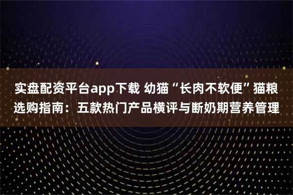 实盘配资平台app下载 幼猫“长肉不软便”猫粮选购指南：五款热门产品横评与断奶期营养管理
