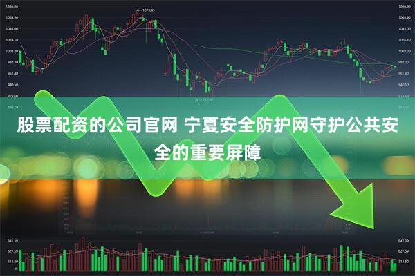 股票配资的公司官网 宁夏安全防护网守护公共安全的重要屏障